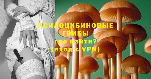 марки lsd Вяземский